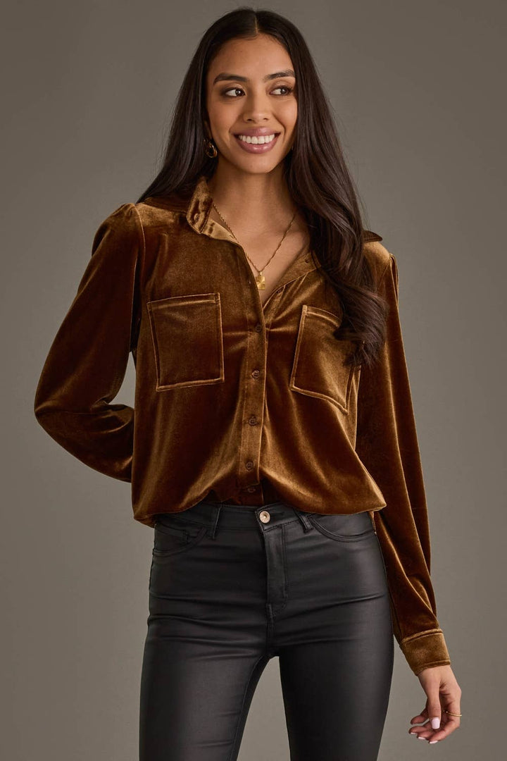Bronze Velvet Button Up