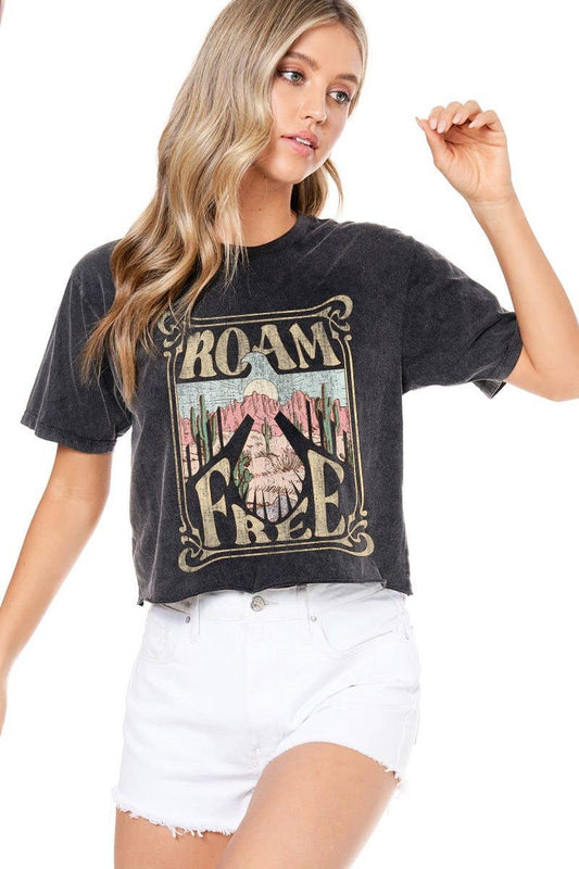 Roam Free Vintage Desert Graphic Faux Crop Tee